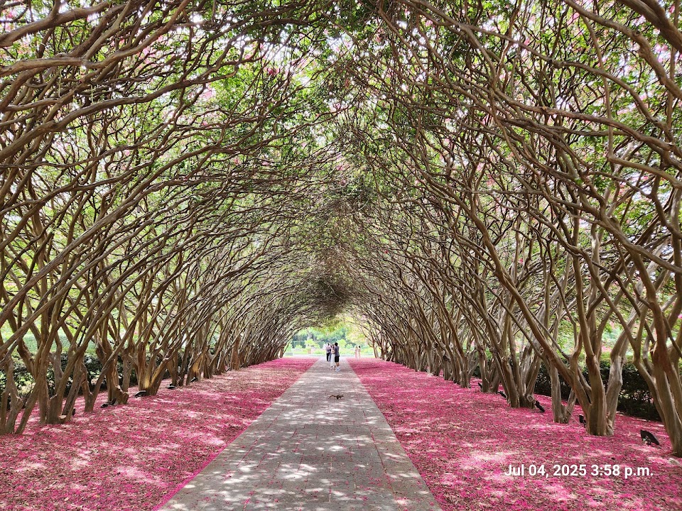 The Dallas Arboretum and Botanical Garden